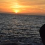 Cambria_0317 (November 02, 2013)